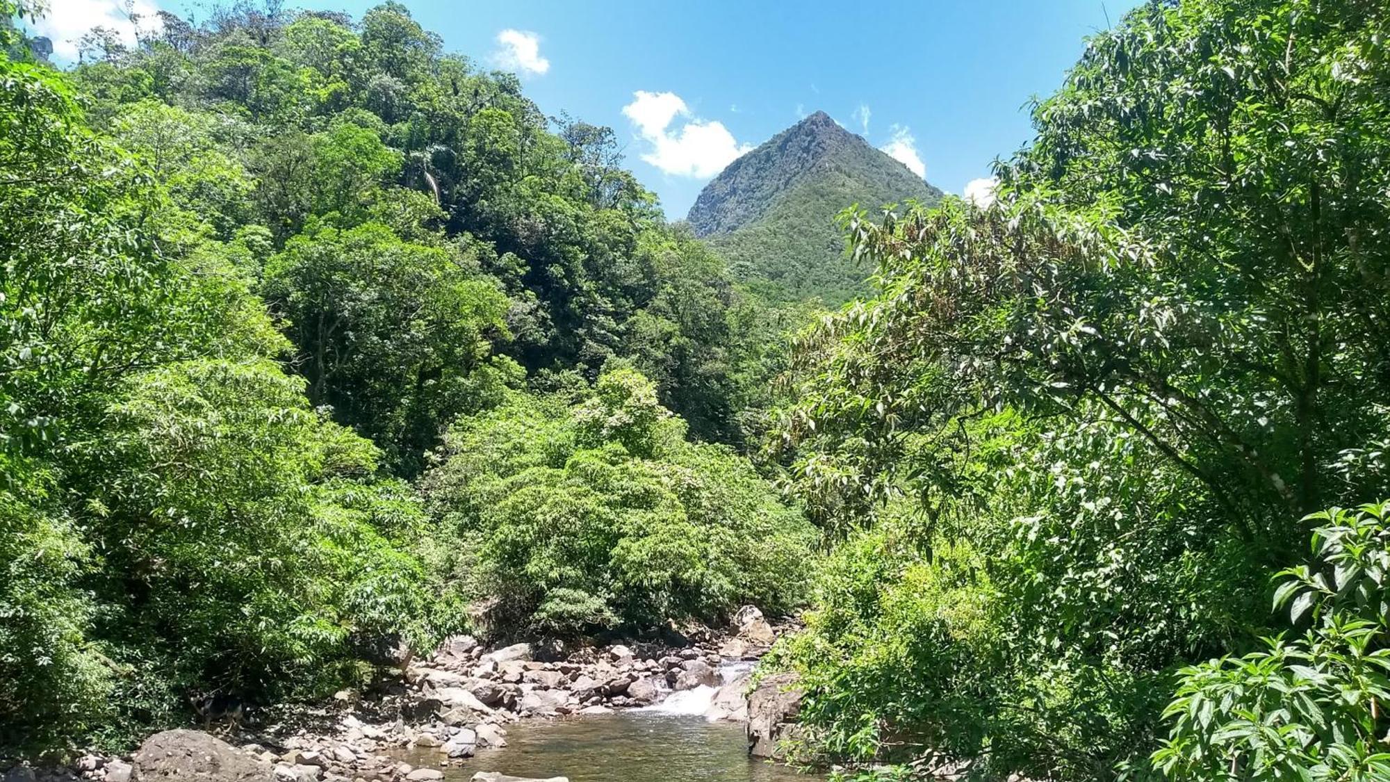 Hostel e Pousada Vale Mirante da Rocha Timbe do Sul Esterno foto